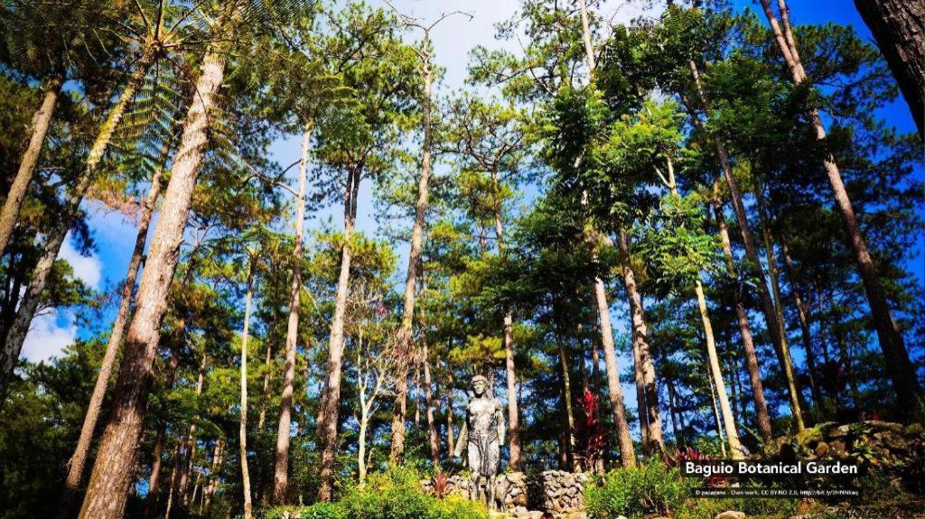 Zen Rooms Venus Parkview Baguio Baguio City Luaran gambar